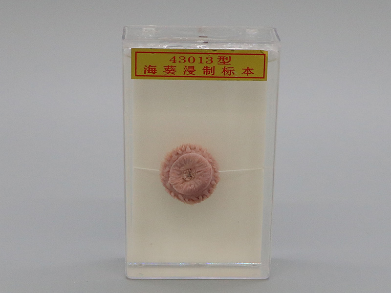 ??茦吮?.jpg ??茦吮?.jpg